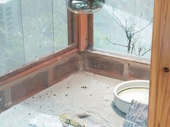 -上海大自然野生昆虫馆(东方明珠·爬宠昆虫探索中心)