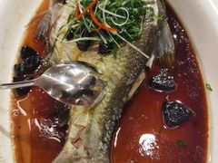-陶缘一号·四季缘·老字号顺德菜·户外婚礼家宴(西滘店)