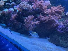 -长沙海底世界