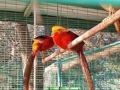 -大明幻境第一城