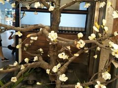 -盛江山自助料理(奥莱锦辉购物广场店)