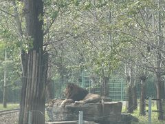-秦皇岛野生动物园