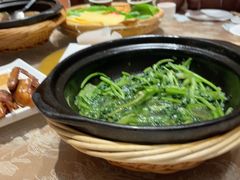 -孙大厨鸽子馆(休门店)