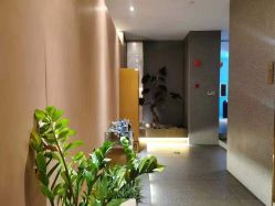 -盘子女人坊生日照·摄影馆(浦东店)