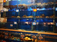 -三个渔夫蒸汽海鲜(南磨房路店)