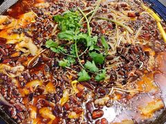 -鸿顺老铁锅美蛙鱼府(解放碑店)