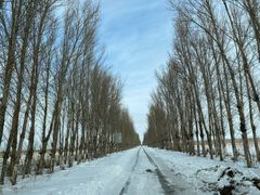 -怪坡国际滑雪场