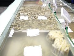 -盒马渔市餐厅