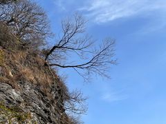 -武当山风景区