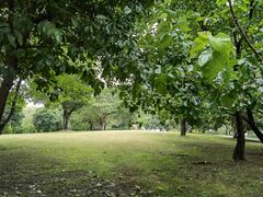 -长兴太湖图影湿地文化园