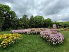 -上海共青森林公园