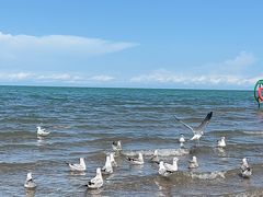 -青海湖国家重点风景名胜区