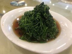 酒香金花菜-石湖大酒店(桐泾店)