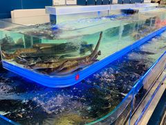 -盒马X会员店(上海森兰商都店)
