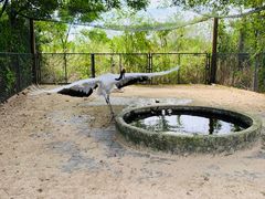 -盐城丹顶鹤湿地生态旅游区