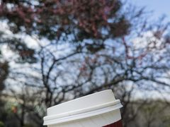 -COSTA COFFEE(上海虹口公园店)