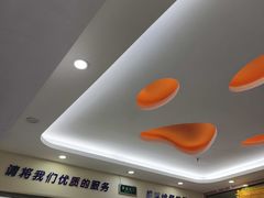 -全心全意连锁动物医院·微创中心·内科急重症·心脏专科(丰管路店)