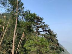 -重庆雨台山风景区