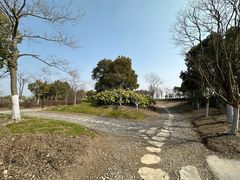 -春花秋色城市公园