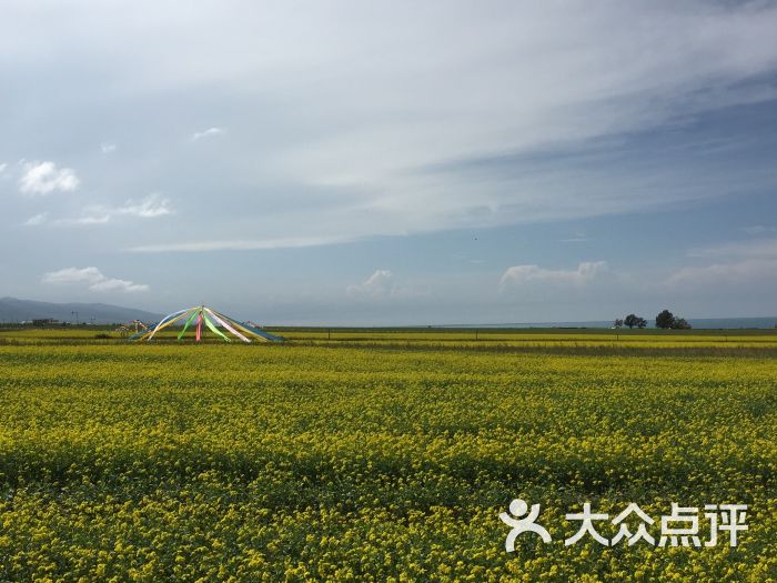 青海湖-圖片-共和縣周邊遊-大眾點評網