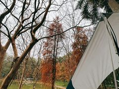 -华南师范大学(广州大学城校区)