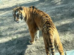 -北京野生动物园