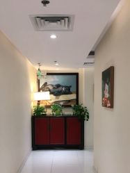 -咪咪比基尼脱毛专业店