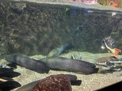 -太平洋海底世界