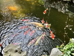 -鲤院·新中式美学·庭院餐厅(夫子庙店)
