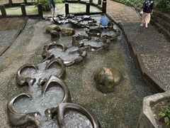 -成都市活水公园