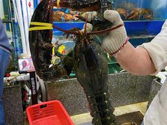 -蚝专家(北滘店)