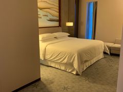 -上海嘉定喜来登酒店