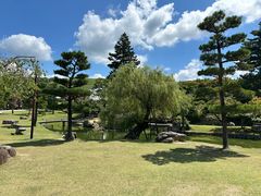 -奈良公园