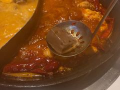 -朱光玉火锅馆(正弘城店)