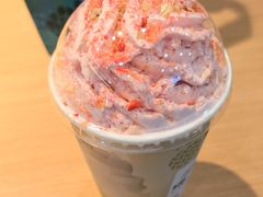 -雾与山茶(大禹城店)