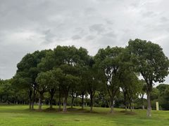 -漕湖湿地公园