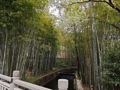 -广东温泉宾馆