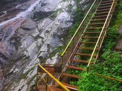 -青峰峡国家森林公园