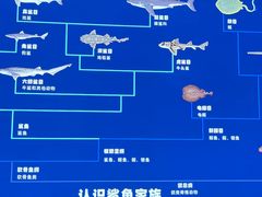 -重庆欢乐海底世界