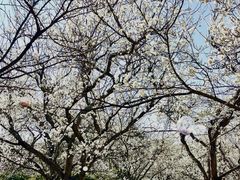 -名花谷生态庄园