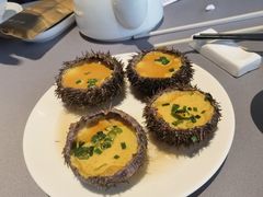 珊瑚海胆炖蛋-徐记海鲜(梅溪新天地店)
