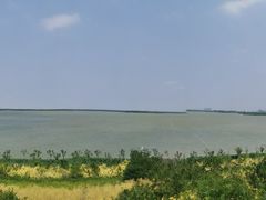 -天津东丽湖风景区