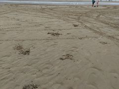 -南澳海滩