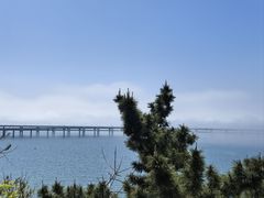 -星海湾跨海大桥