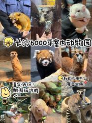 -Zoolung Zoolung动物主题公园(海信广场店)
