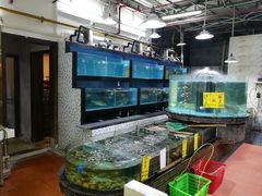 -海晖酒楼·顺德鱼生(荣华店)