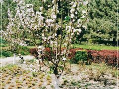 -元大都城垣遗址公园