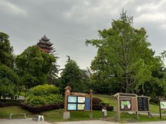 -塔子山公园