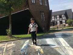 -金山农民画村-枫泾波兰倒置屋