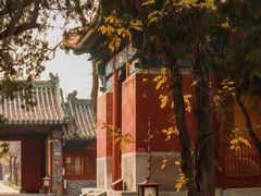 -北京国子监胡同